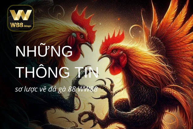 Khái quát sơ lược về đá gà WW88