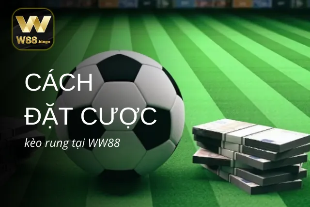 Cách đặt cược kèo rung tại WW88 không thể bỏ qua