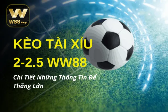 Kèo Tài Xỉu 2-2.5