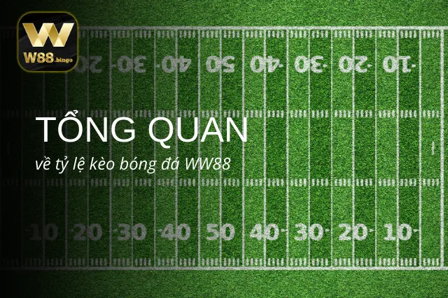Tỷ lệ kèo xanh chính tại nhà cái WW88