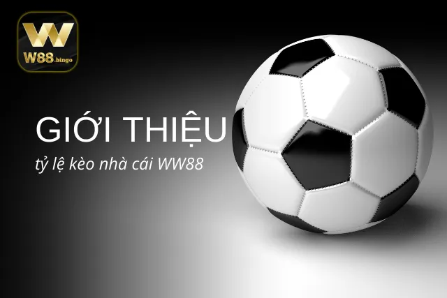 Hiểu rõ hơn về tỷ lệ kèo từ nhà cái WW88