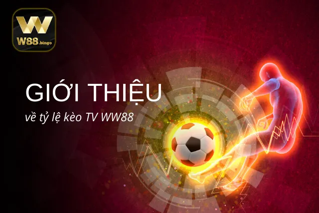 Những thông tin tổng quan về Tỷ lệ kèo TV WW88